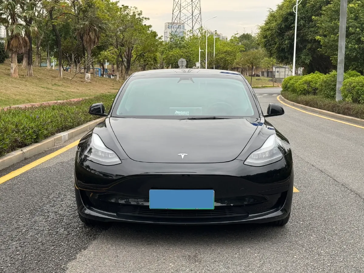2020 Tesla Model 3 BEV 55KWH,autocango,china used car exporter,china ev exporter,chinese used car exporter,chinese used ev exporter