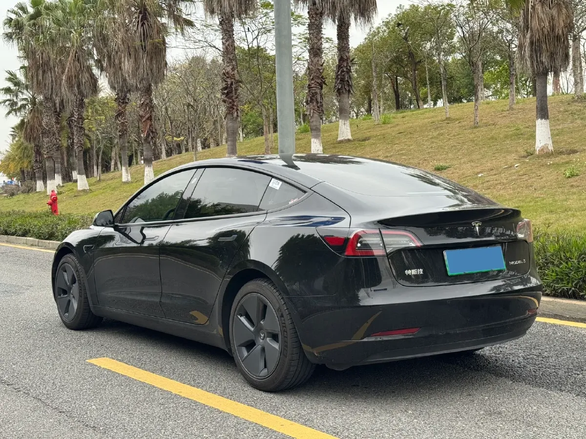 2020 Tesla Model 3 BEV 55KWH,autocango,china used car exporter,china ev exporter,chinese used car exporter,chinese used ev exporter