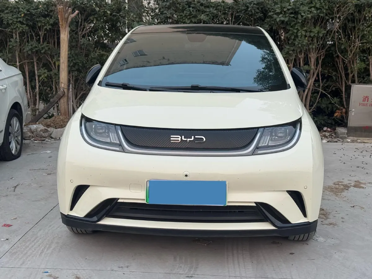 2025 BYD Dolphin BEV 44.928KWH,autocango,china used car exporter,china ev exporter,chinese used car exporter,chinese used ev exporter