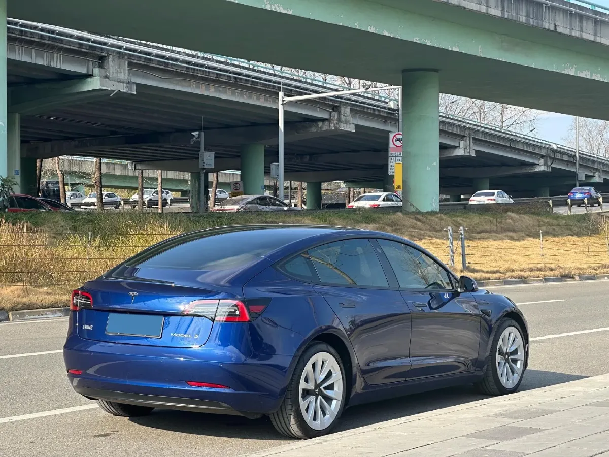 2021 Tesla Model 3 BEV 55KWH,autocango,china used car exporter,china ev exporter,chinese used car exporter,chinese used ev exporter