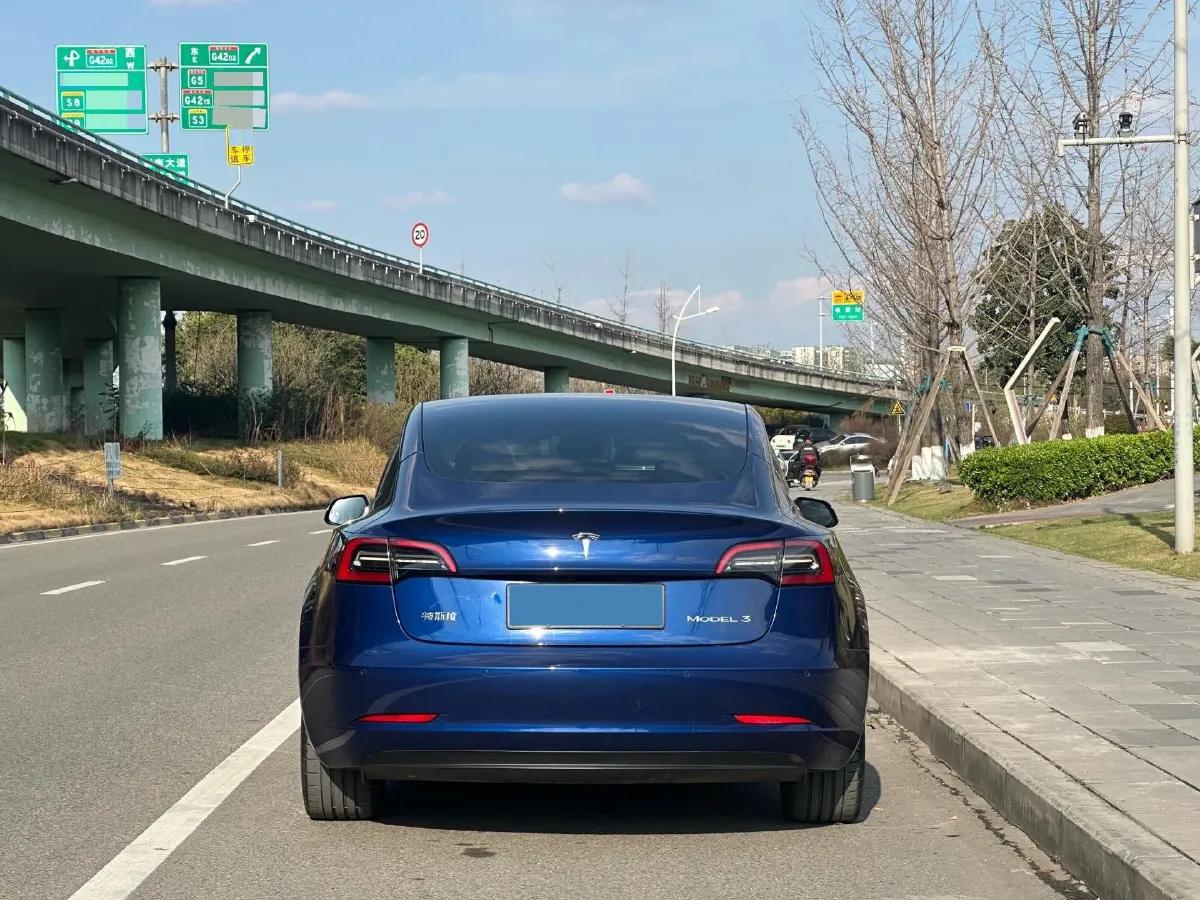2021 Tesla Model 3 BEV 55KWH,autocango,china used car exporter,china ev exporter,chinese used car exporter,chinese used ev exporter