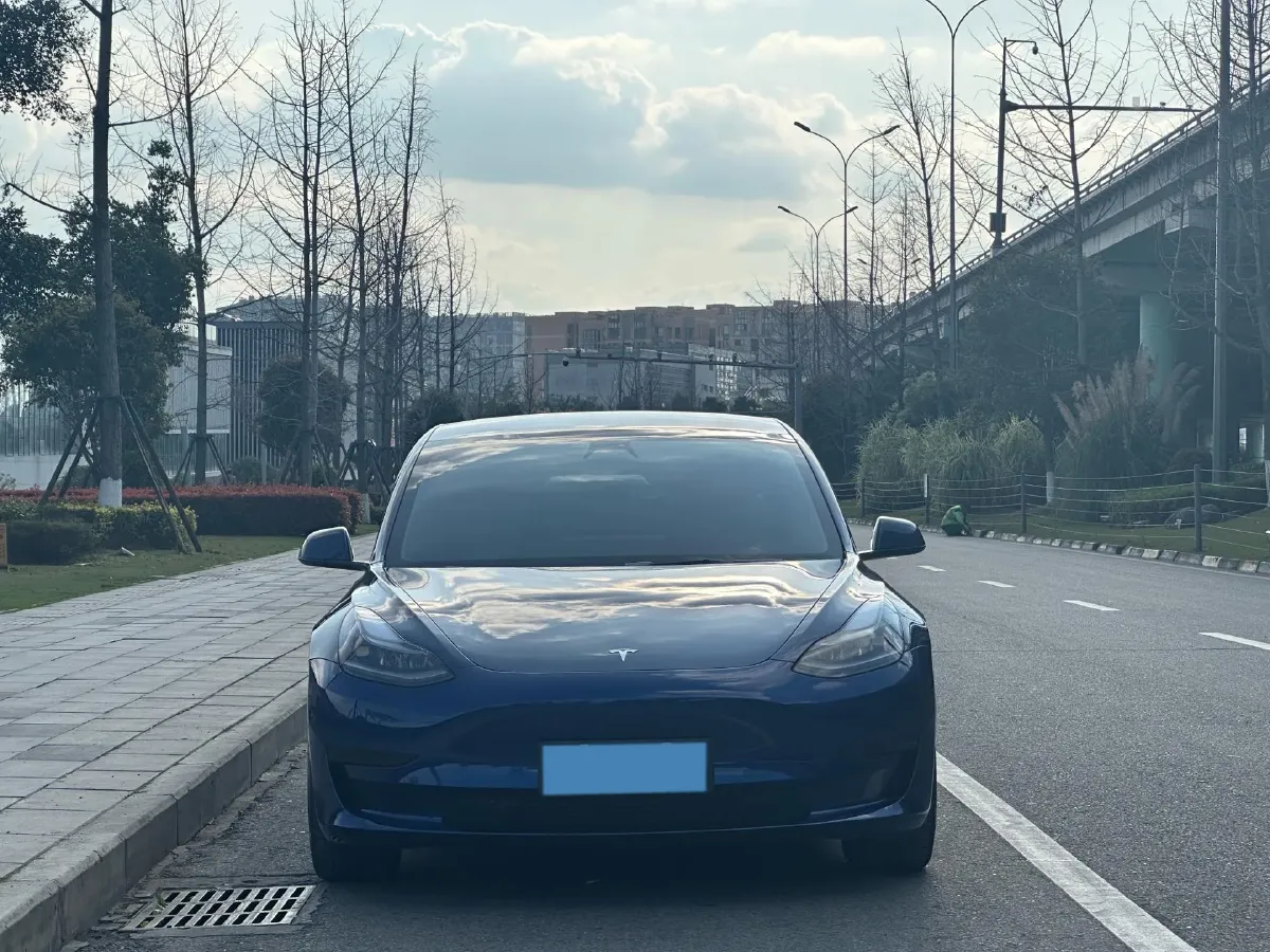 2021 Tesla Model 3 BEV 55KWH,autocango,china used car exporter,china ev exporter,chinese used car exporter,chinese used ev exporter