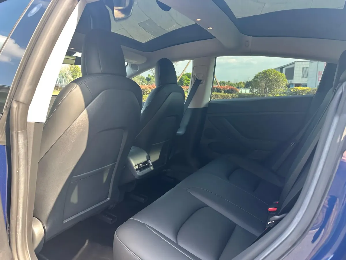 2021 Tesla Model 3 BEV 55KWH,autocango,china used car exporter,china ev exporter,chinese used car exporter,chinese used ev exporter