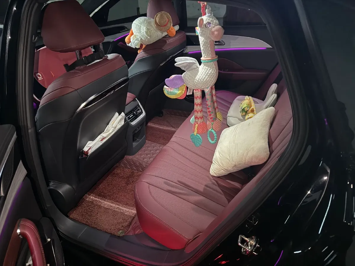 2025 HongQi H5 2.0T 224HP L4 8AT,autocango,china used car exporter,china ev exporter,chinese used car exporter,chinese used ev exporter