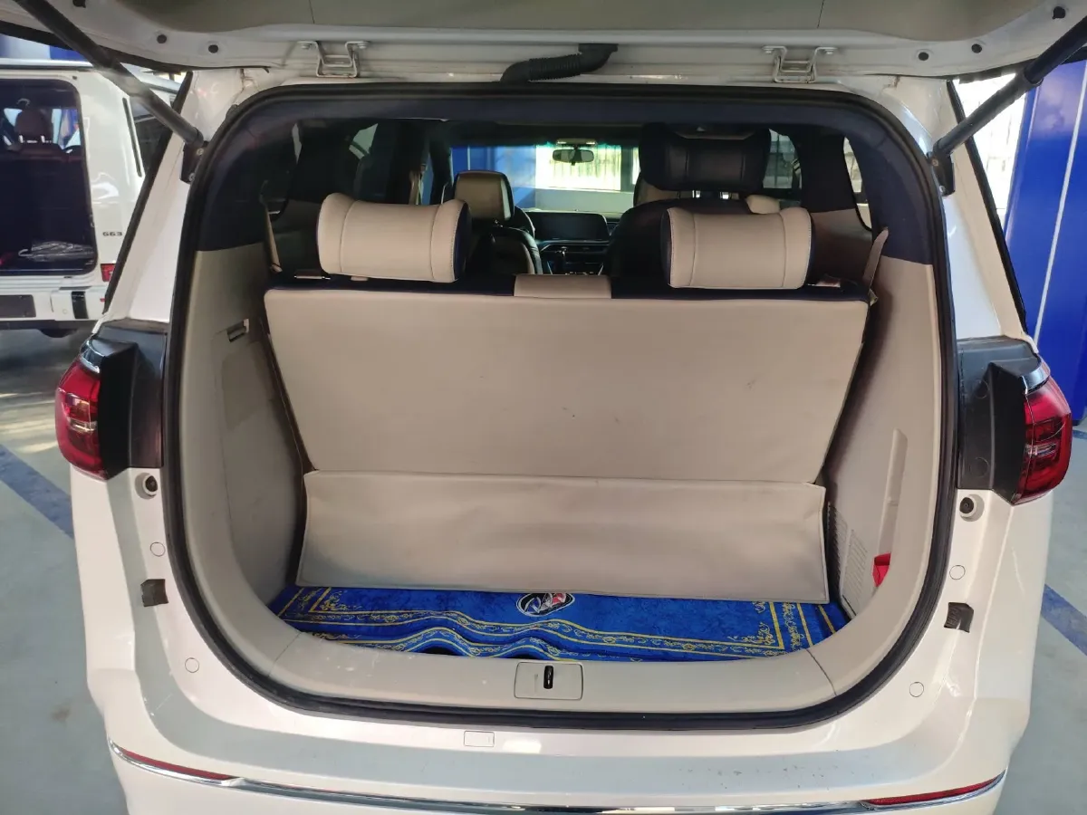 2020 Buick GL8 2.0T 237HP L4 9AT,autocango,china used car exporter,china ev exporter,chinese used car exporter,chinese used ev exporter