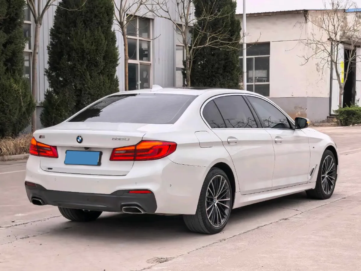 2020 BMW 5 Series 2.0T 252HP L4 8AT,autocango,china used car exporter,china ev exporter,chinese used car exporter,chinese used ev exporter
