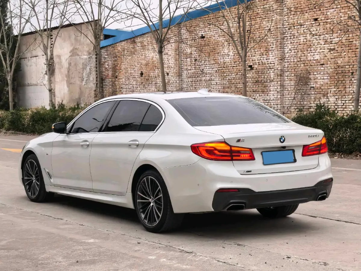 2020 BMW 5 Series 2.0T 252HP L4 8AT,autocango,china used car exporter,china ev exporter,chinese used car exporter,chinese used ev exporter