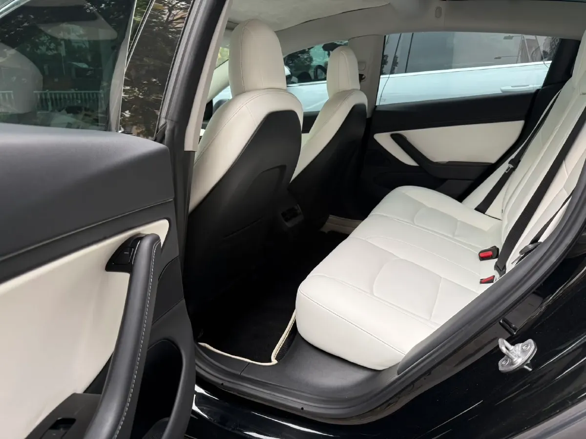 2020 Tesla Model 3 BEV 52KWH,autocango,china used car exporter,china ev exporter,chinese used car exporter,chinese used ev exporter