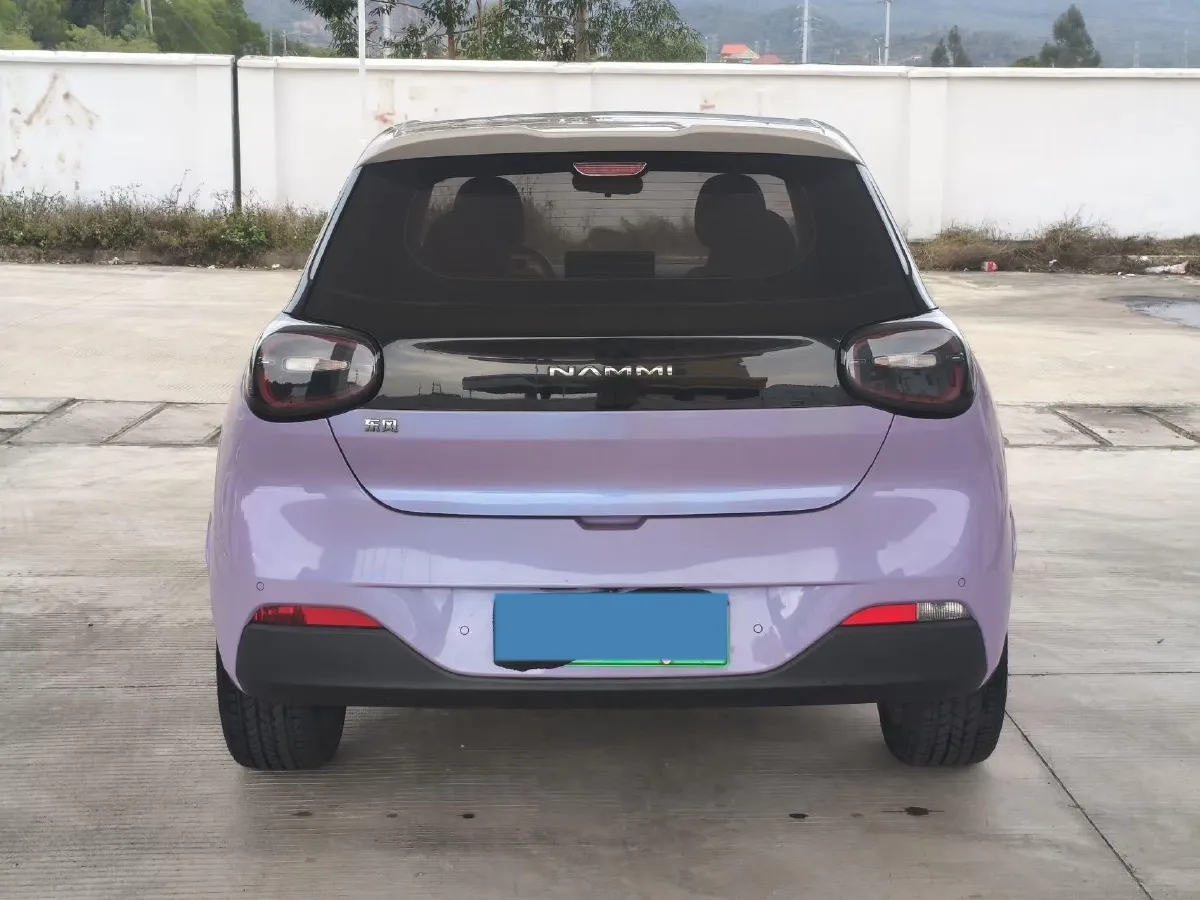 2024 DongFeng Nammi 01 BEV 42.3KWH,autocango,china used car exporter,china ev exporter,chinese used car exporter,chinese used ev exporter