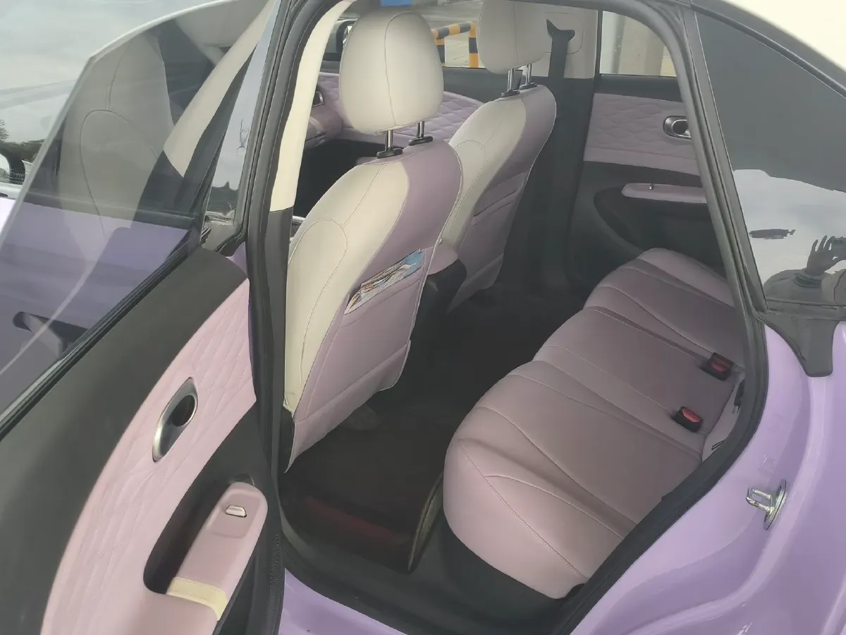 2024 DongFeng Nammi 01 BEV 42.3KWH,autocango,china used car exporter,china ev exporter,chinese used car exporter,chinese used ev exporter