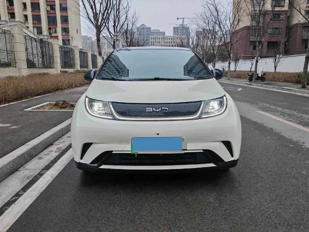 2025 BYD Dolphin BEV 44.928KWH,autocango,china used car exporter,china ev exporter,chinese used car exporter,chinese used ev exporter