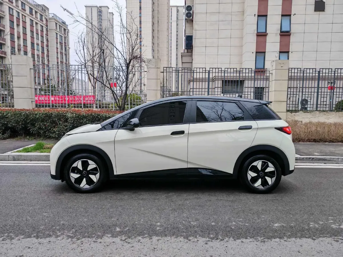 2025 BYD Dolphin BEV 44.928KWH,autocango,china used car exporter,china ev exporter,chinese used car exporter,chinese used ev exporter