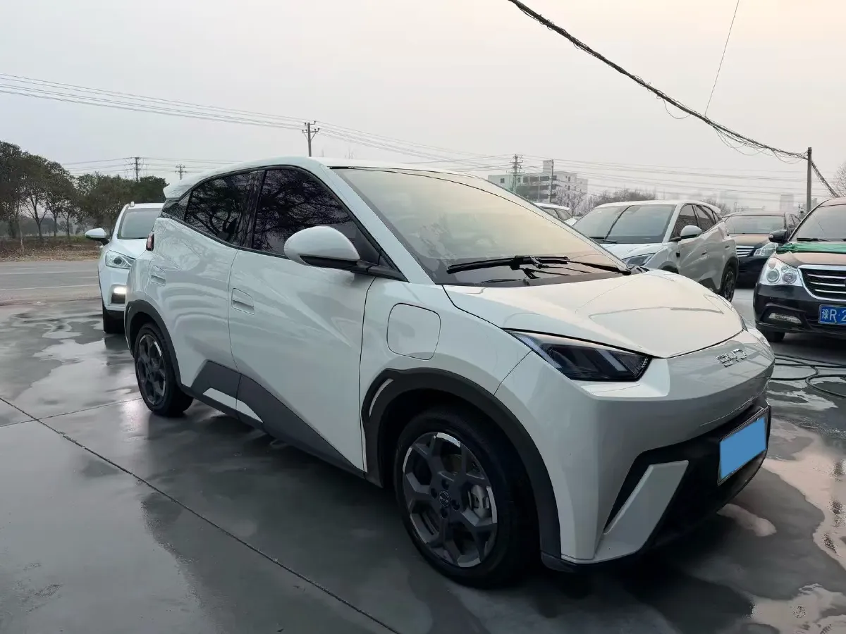 2024 BYD Seagull BEV 38.88KWH,autocango,china used car exporter,china ev exporter,chinese used car exporter,chinese used ev exporter