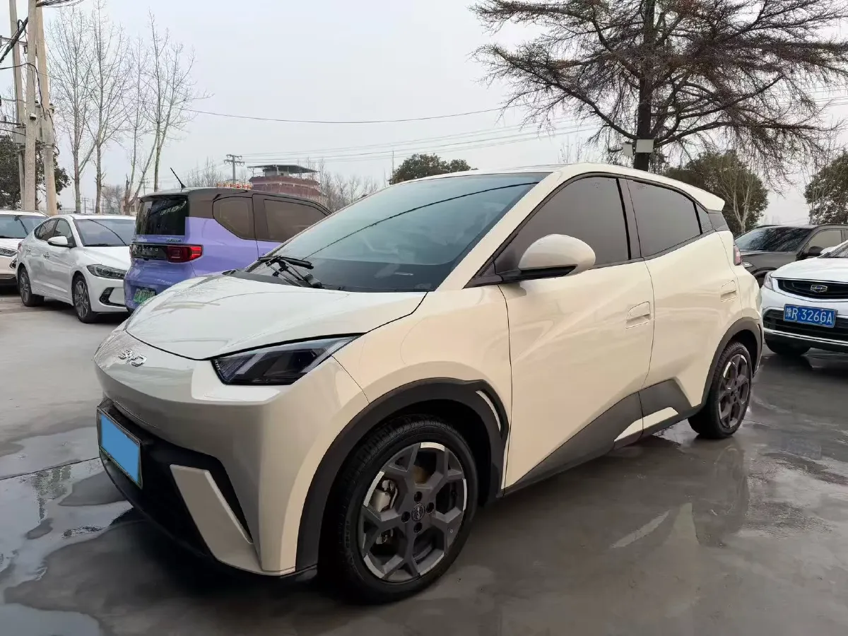 2024 BYD Seagull BEV 38.88KWH,autocango,china used car exporter,china ev exporter,chinese used car exporter,chinese used ev exporter