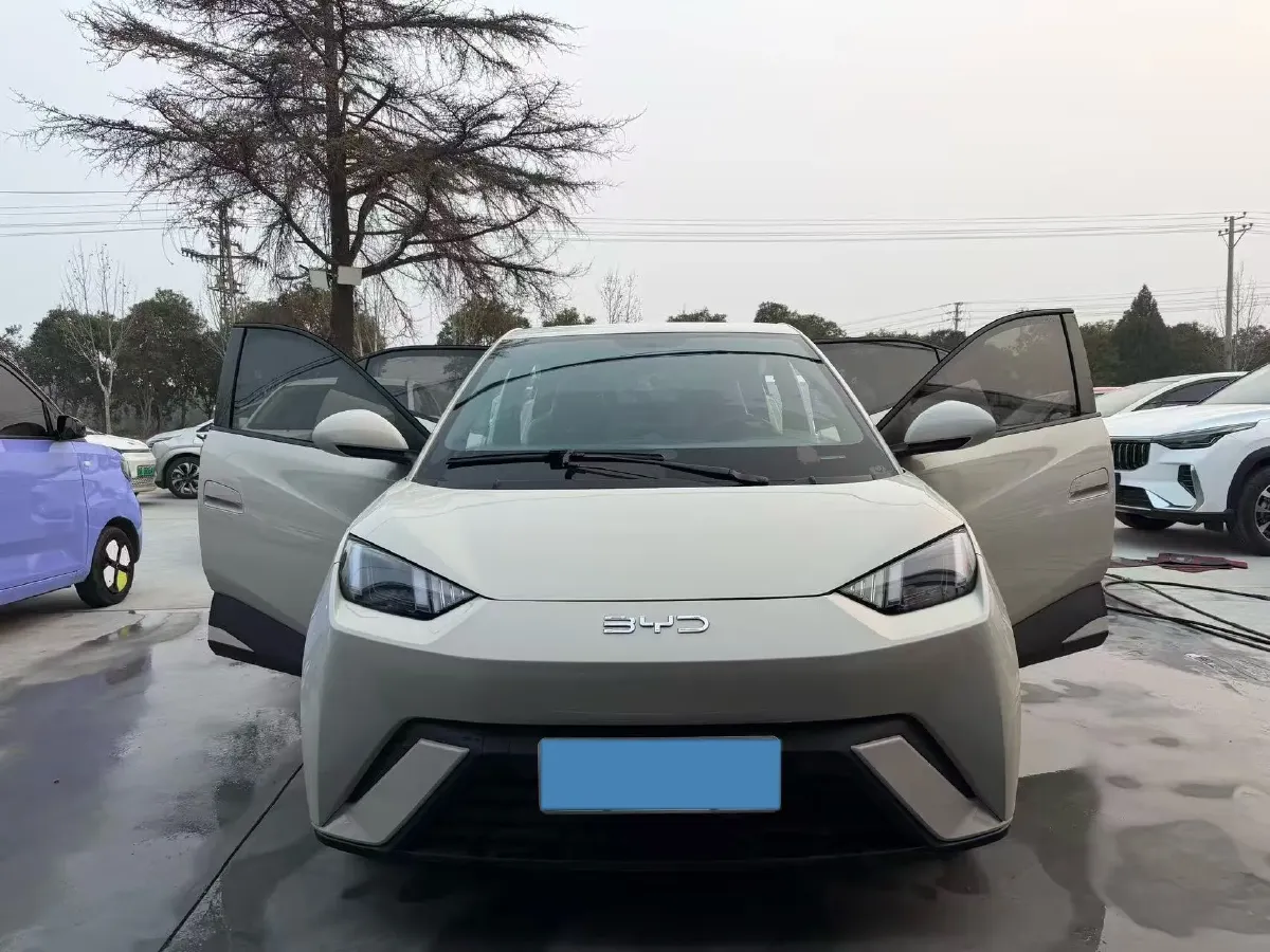 2024 BYD Seagull BEV 38.88KWH,autocango,china used car exporter,china ev exporter,chinese used car exporter,chinese used ev exporter