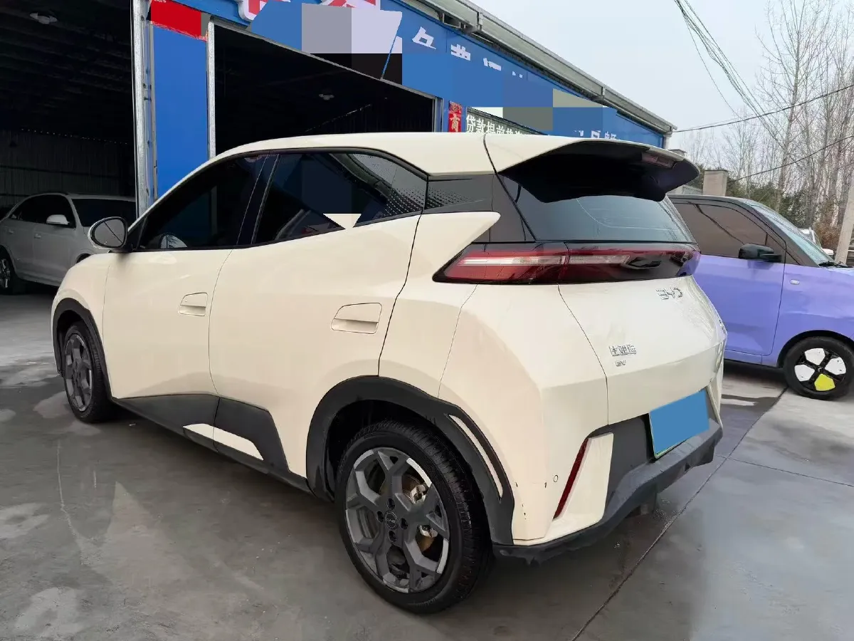 2024 BYD Seagull BEV 38.88KWH,autocango,china used car exporter,china ev exporter,chinese used car exporter,chinese used ev exporter