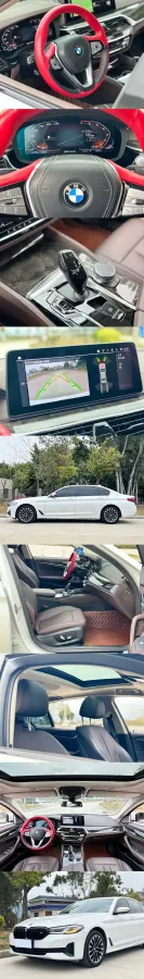 2022 BMW 5 Series 2.0T 184HP L4 8AT,autocango,china used car exporter,china ev exporter,chinese used car exporter,chinese used ev exporter