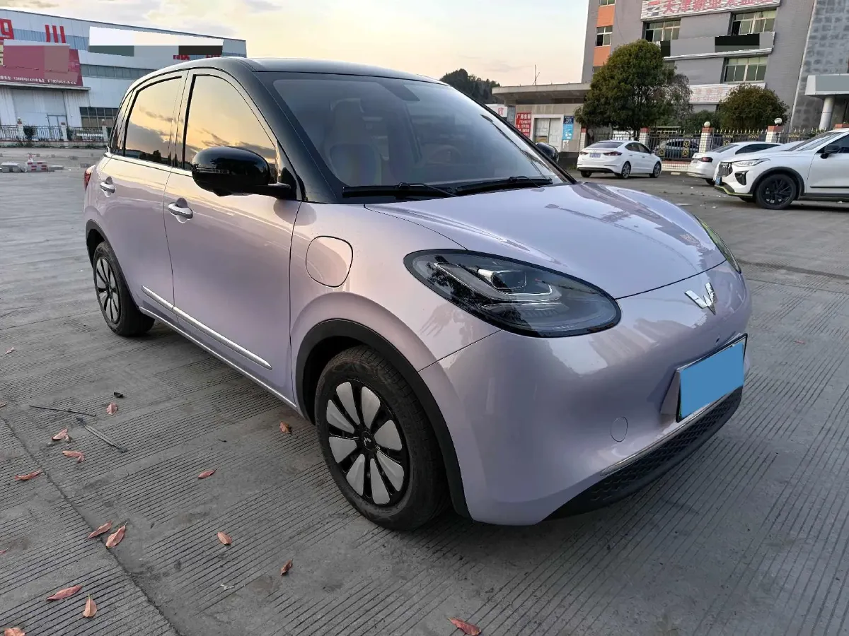 2025 WuLing BinGuo BEV,autocango,china used car exporter,china ev exporter,chinese used car exporter,chinese used ev exporter