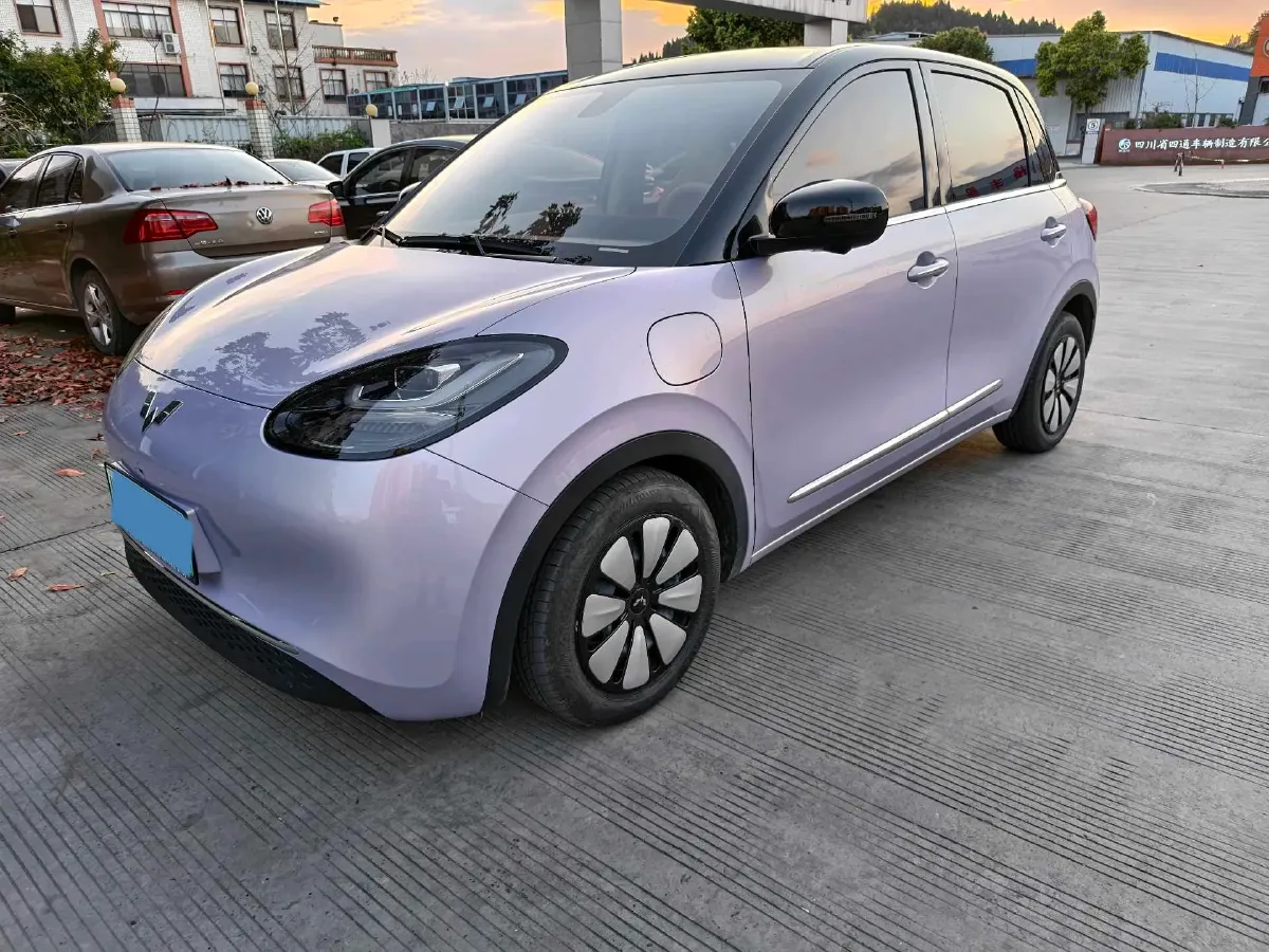 2025 WuLing BinGuo BEV,autocango,china used car exporter,china ev exporter,chinese used car exporter,chinese used ev exporter