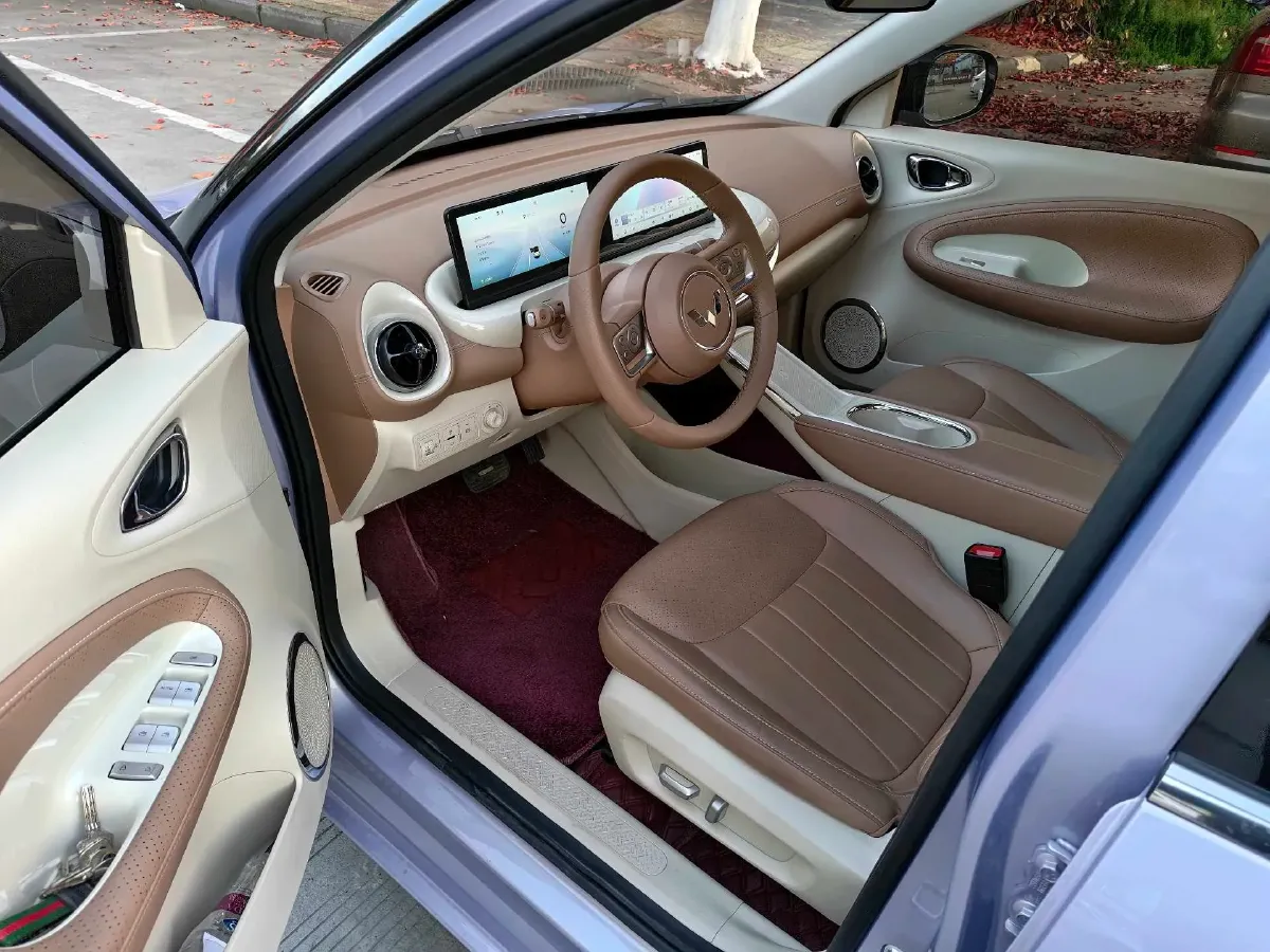 2025 WuLing BinGuo BEV,autocango,china used car exporter,china ev exporter,chinese used car exporter,chinese used ev exporter