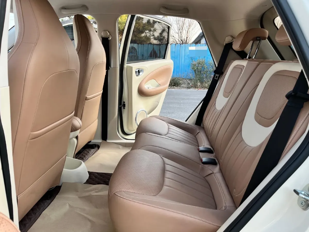 2025 WuLing BinGuo BEV,autocango,china used car exporter,china ev exporter,chinese used car exporter,chinese used ev exporter