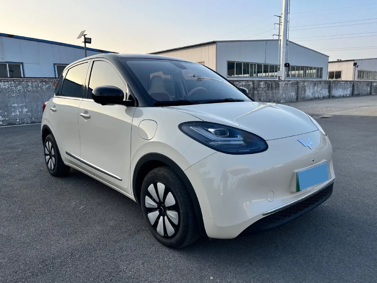 2025 WuLing BinGuo BEV,autocango,china used car exporter,china ev exporter,chinese used car exporter,chinese used ev exporter
