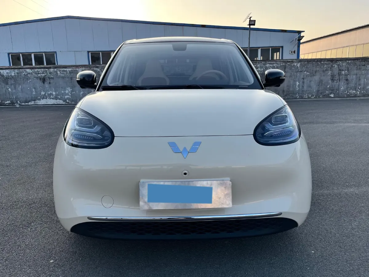 2025 WuLing BinGuo BEV,autocango,china used car exporter,china ev exporter,chinese used car exporter,chinese used ev exporter