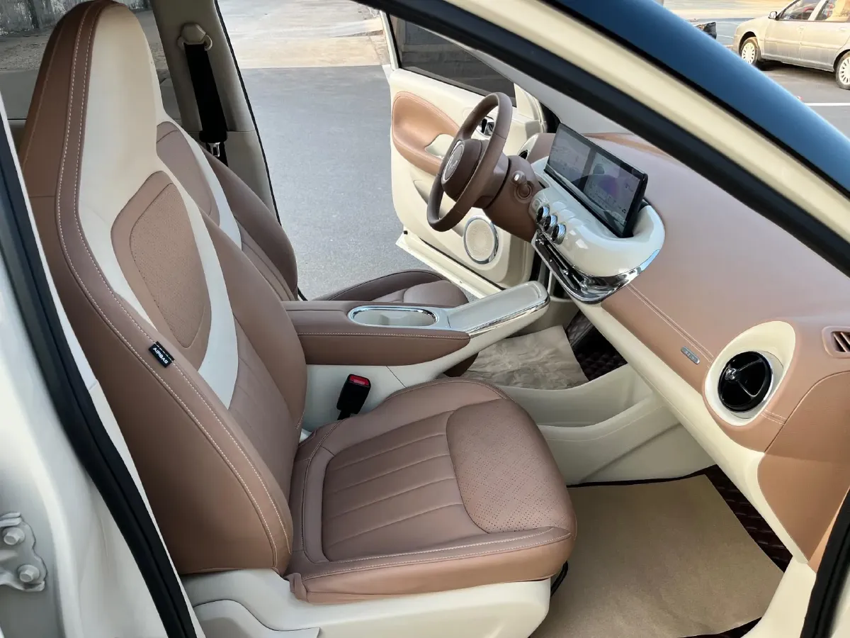 2025 WuLing BinGuo BEV,autocango,china used car exporter,china ev exporter,chinese used car exporter,chinese used ev exporter