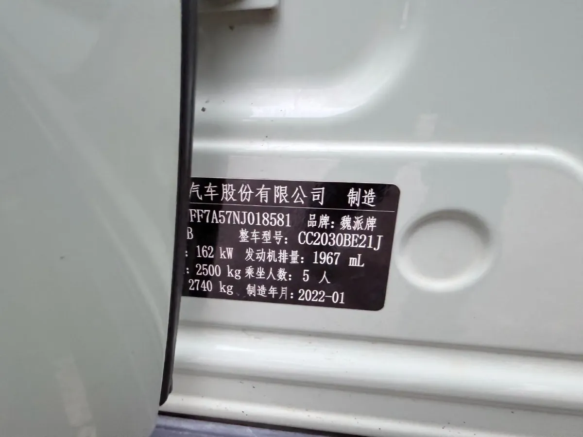 2021 Tank 300 2.0T 227HP L4 8AT,autocango,china used car exporter,china ev exporter,chinese used car exporter,chinese used ev exporter