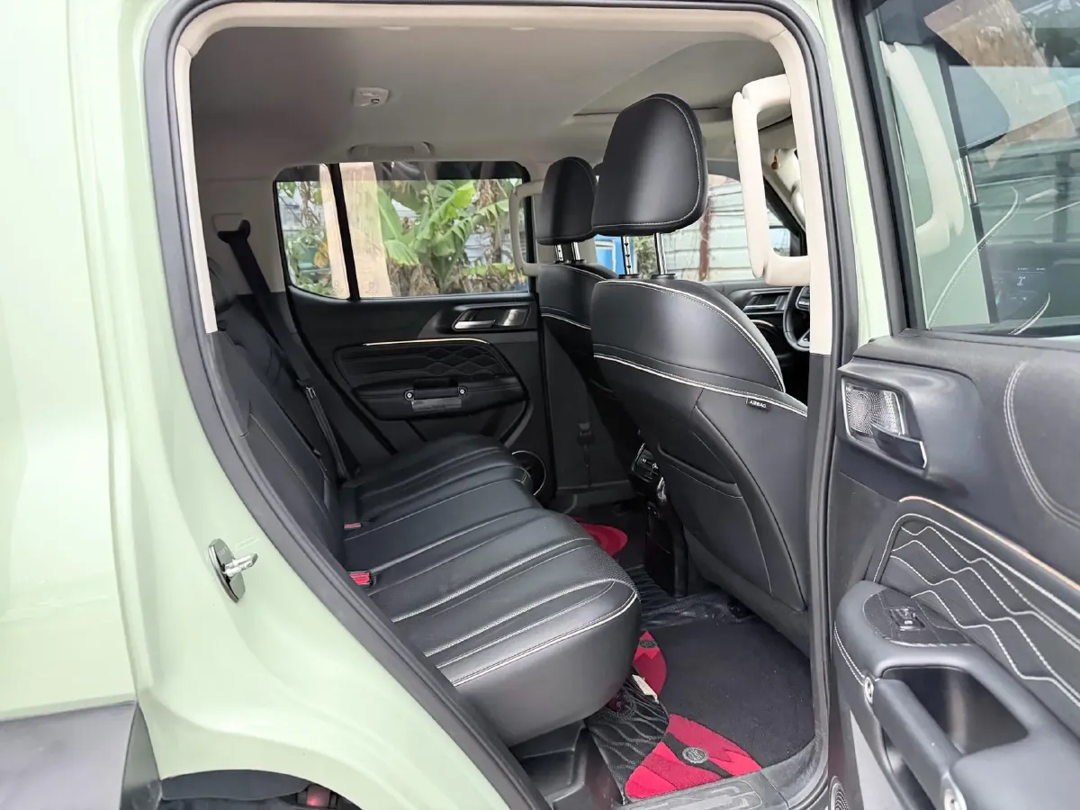 2021 Tank 300 2.0T 227HP L4 8AT,autocango,china used car exporter,china ev exporter,chinese used car exporter,chinese used ev exporter