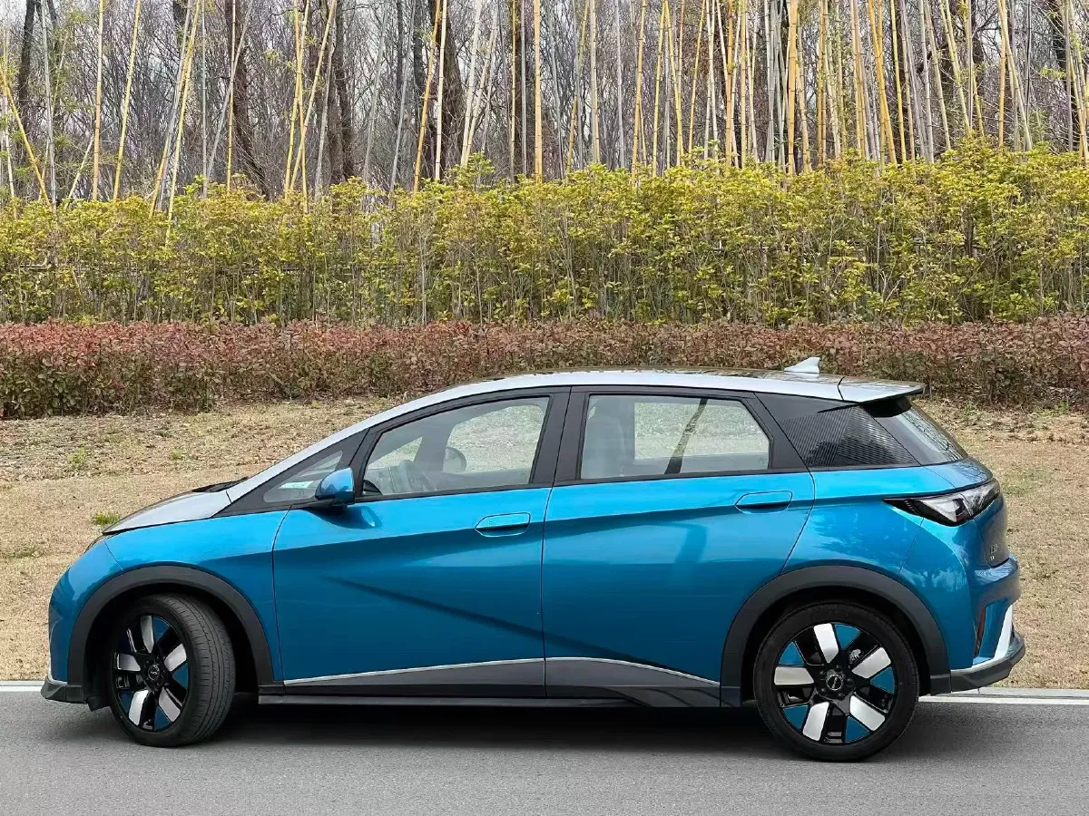 2021 BYD e2 BEV 43.2KWH,autocango,china used car exporter,china ev exporter,chinese used car exporter,chinese used ev exporter