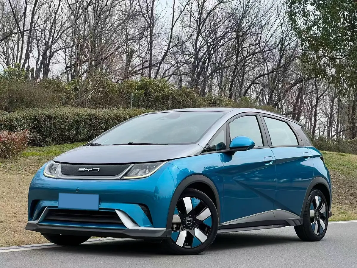 2021 BYD e2 BEV 43.2KWH,autocango,china used car exporter,china ev exporter,chinese used car exporter,chinese used ev exporter