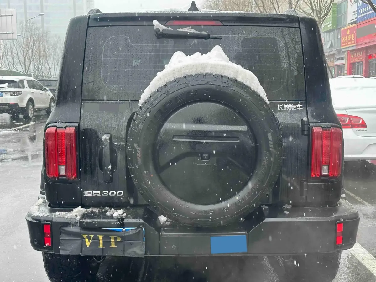 2024 Tank 300 2.0T 227HP L4 8AT,autocango,china used car exporter,china ev exporter,chinese used car exporter,chinese used ev exporter