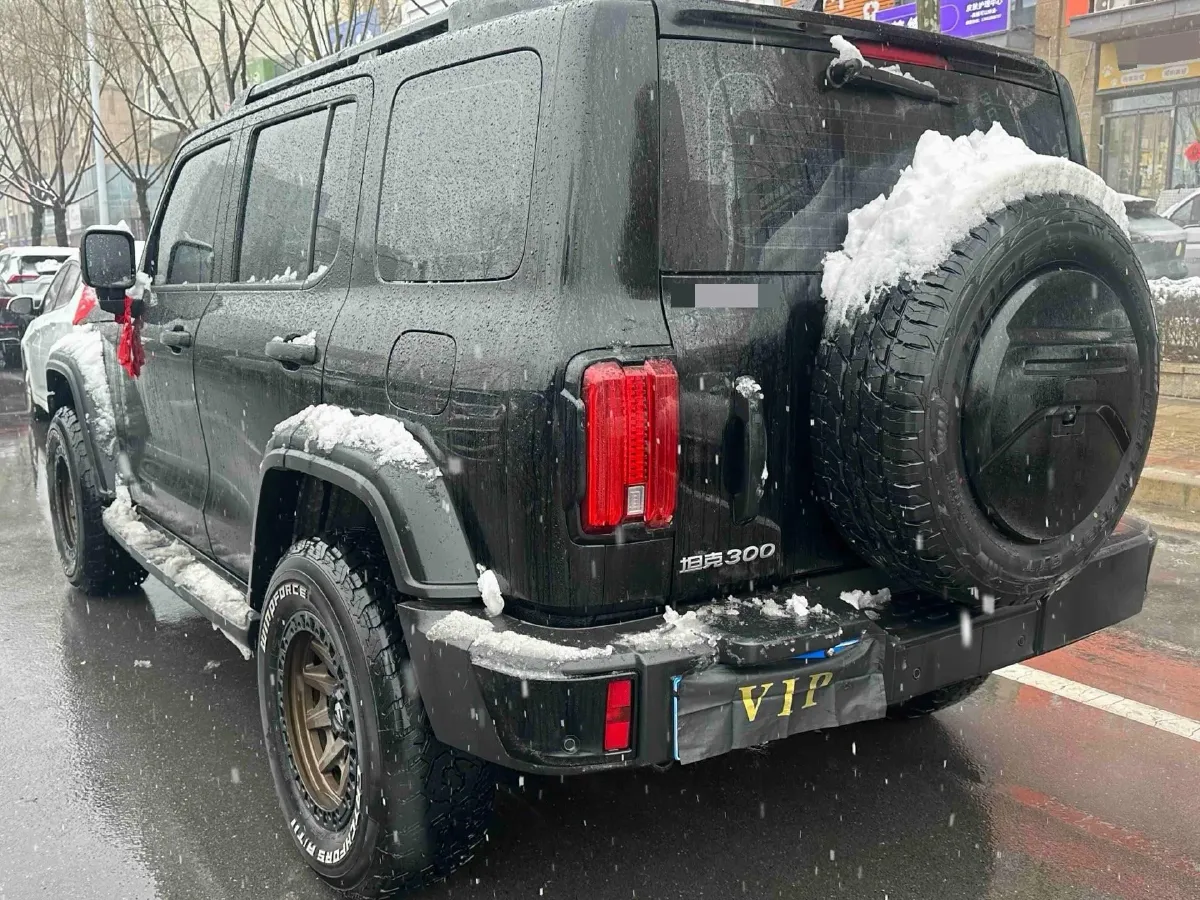 2024 Tank 300 2.0T 227HP L4 8AT,autocango,china used car exporter,china ev exporter,chinese used car exporter,chinese used ev exporter