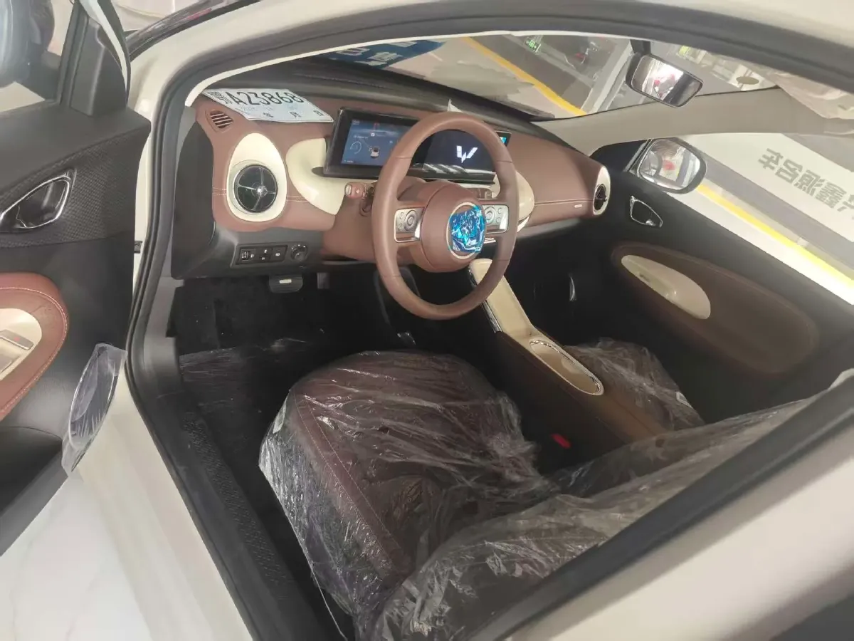 2025 WuLing BinGuo BEV,autocango,china used car exporter,china ev exporter,chinese used car exporter,chinese used ev exporter