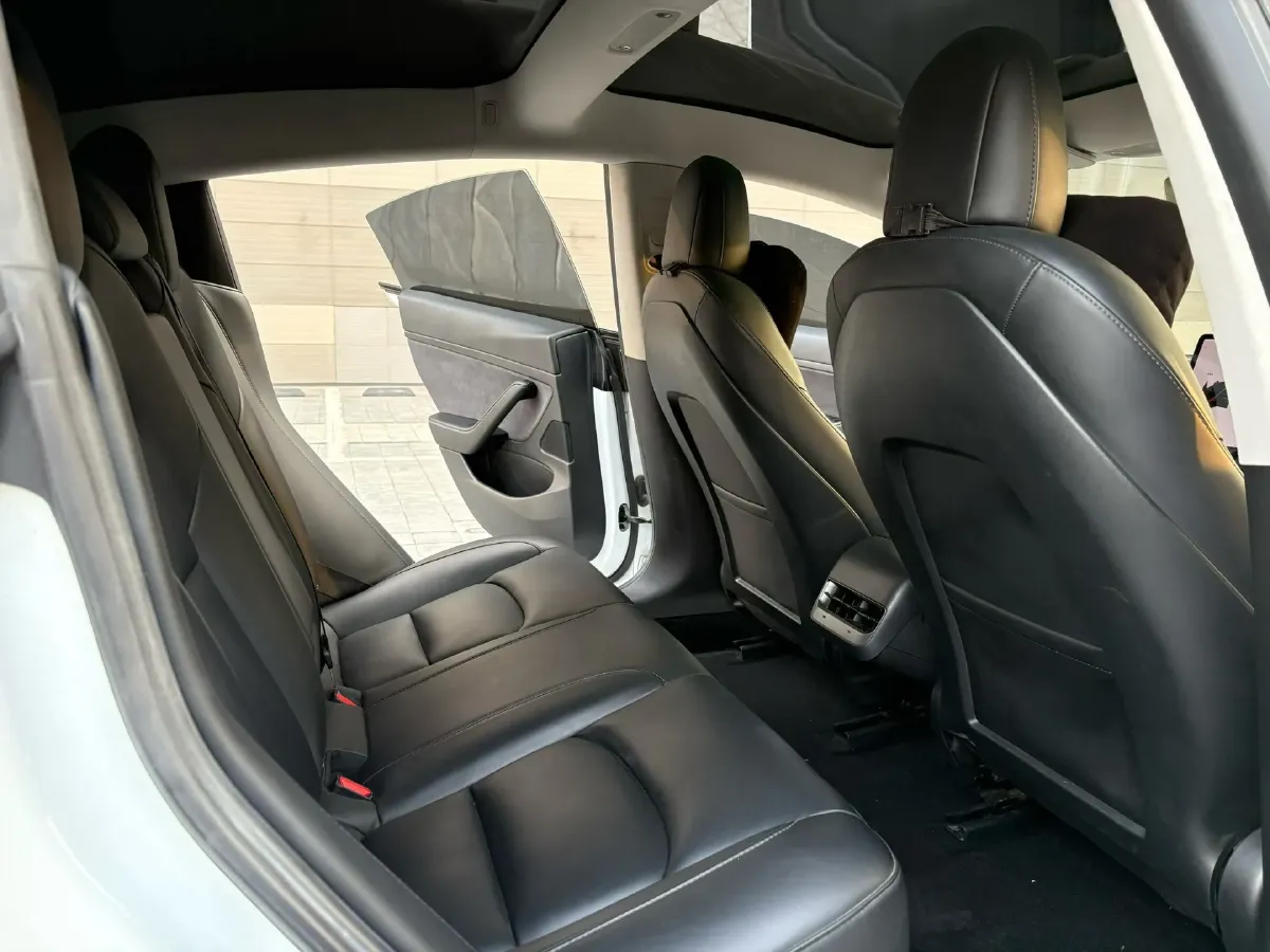 2020 Tesla Model 3 BEV 55KWH,autocango,china used car exporter,china ev exporter,chinese used car exporter,chinese used ev exporter