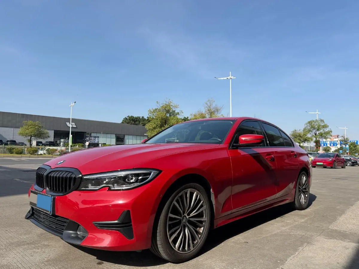 2020 BMW 3 Series 2.0T 156HP L4 8AT,autocango,china used car exporter,china ev exporter,chinese used car exporter,chinese used ev exporter