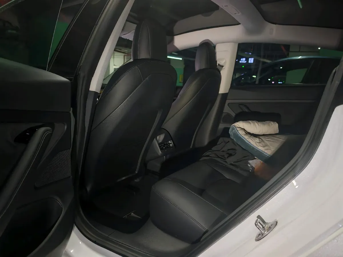 2020 Tesla Model 3 BEV 52KWH,autocango,china used car exporter,china ev exporter,chinese used car exporter,chinese used ev exporter