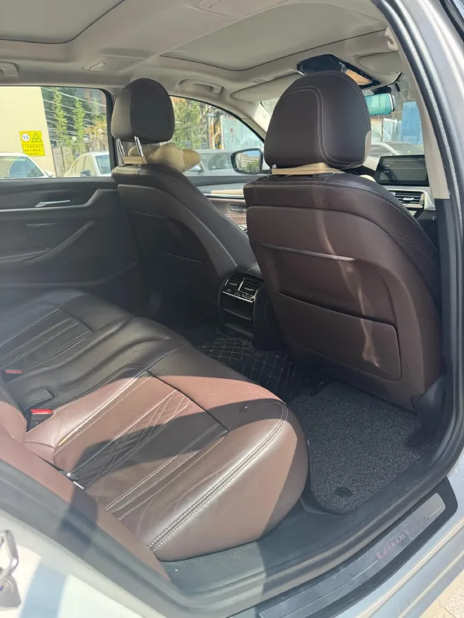 2020 BMW 5 Series 2.0T 252HP L4 8AT,autocango,china used car exporter,china ev exporter,chinese used car exporter,chinese used ev exporter