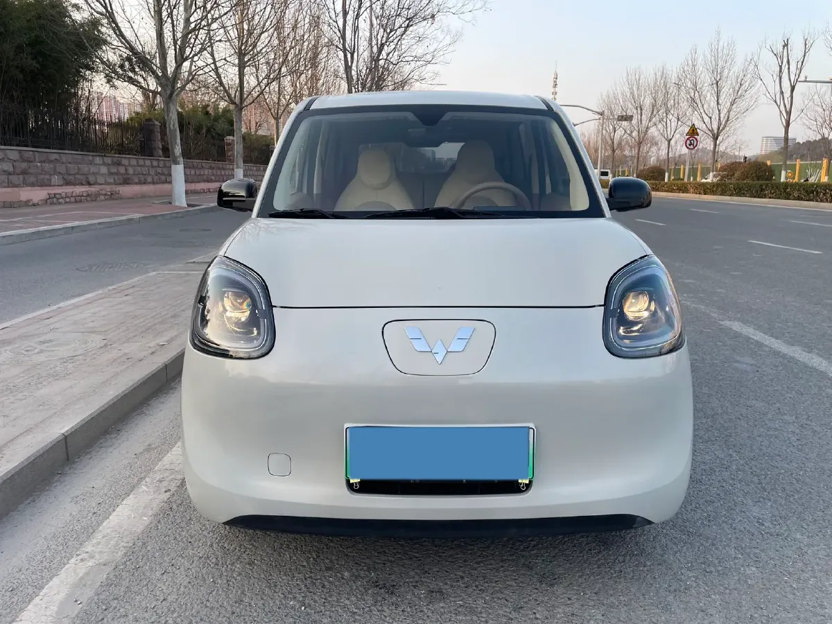 2025 WuLing HongGuang MINI EV BEV 16.2KWH,autocango,china used car exporter,china ev exporter,chinese used car exporter,chinese used ev exporter