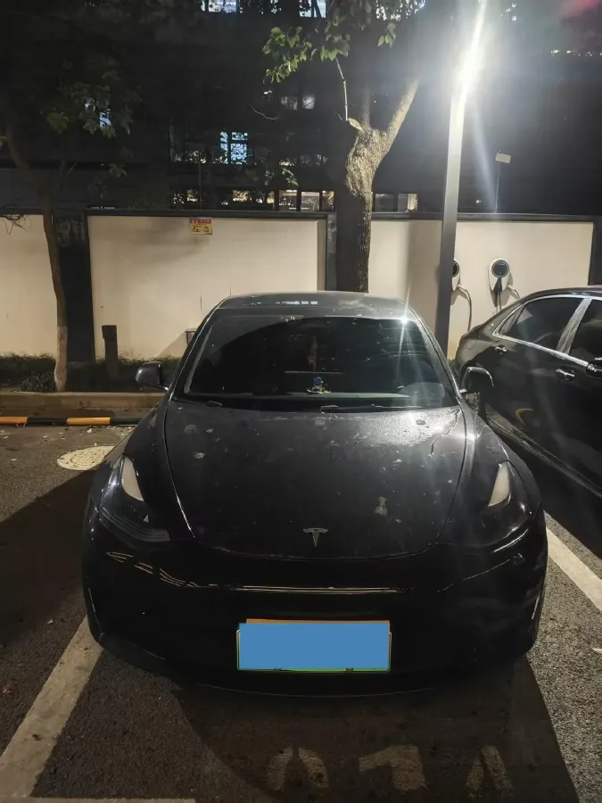 2021 Tesla Model 3 BEV 55KWH,autocango,china used car exporter,china ev exporter,chinese used car exporter,chinese used ev exporter