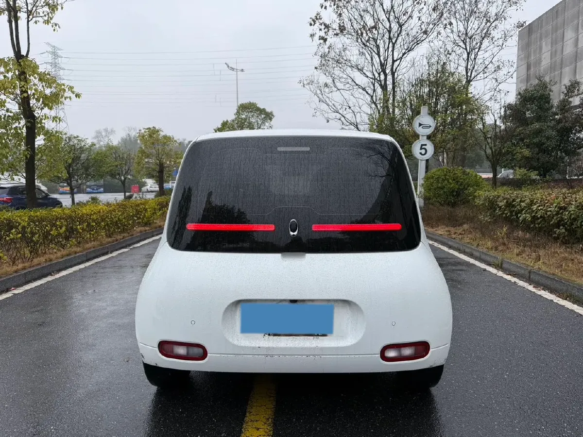 2020 Ora WhiteCat BEV 29.4KWH,autocango,china used car exporter,china ev exporter,chinese used car exporter,chinese used ev exporter