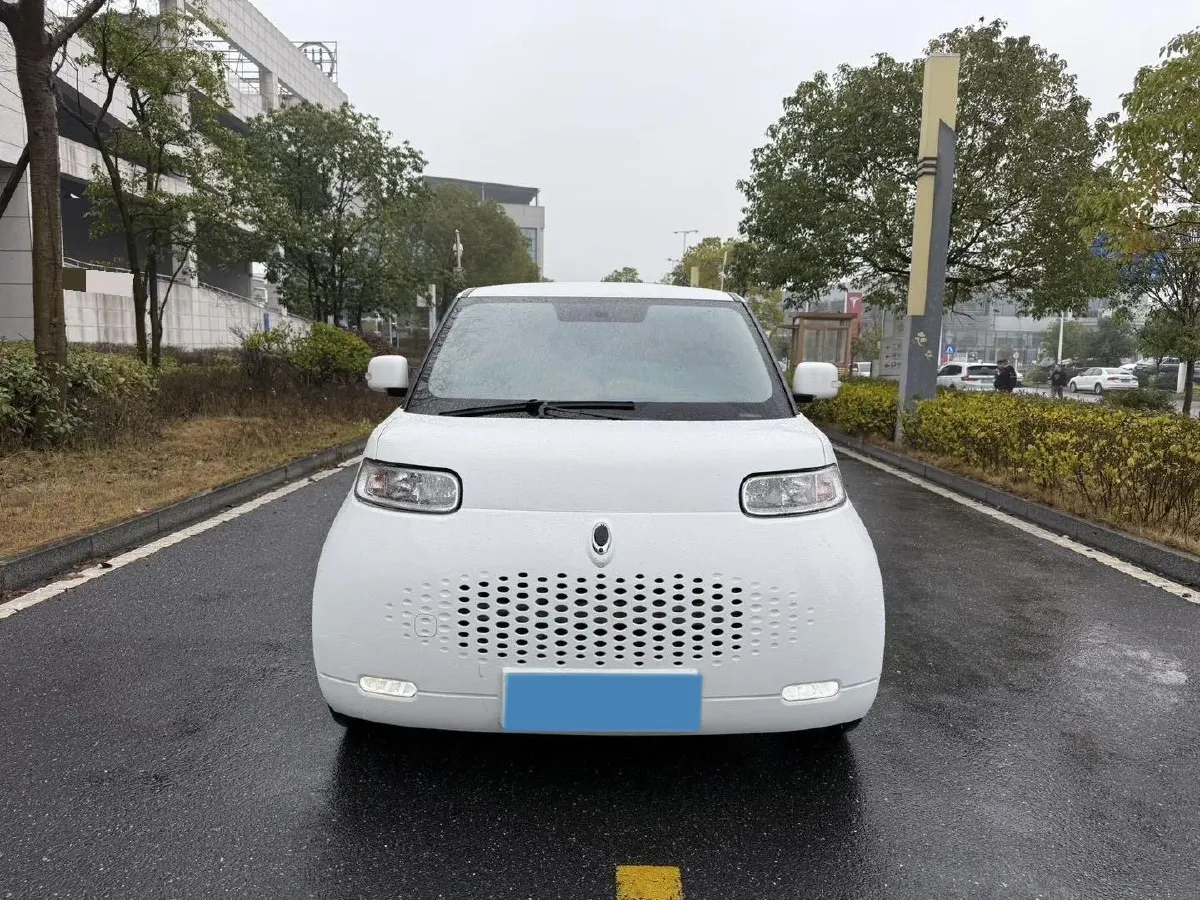 2020 Ora WhiteCat BEV 29.4KWH,autocango,china used car exporter,china ev exporter,chinese used car exporter,chinese used ev exporter