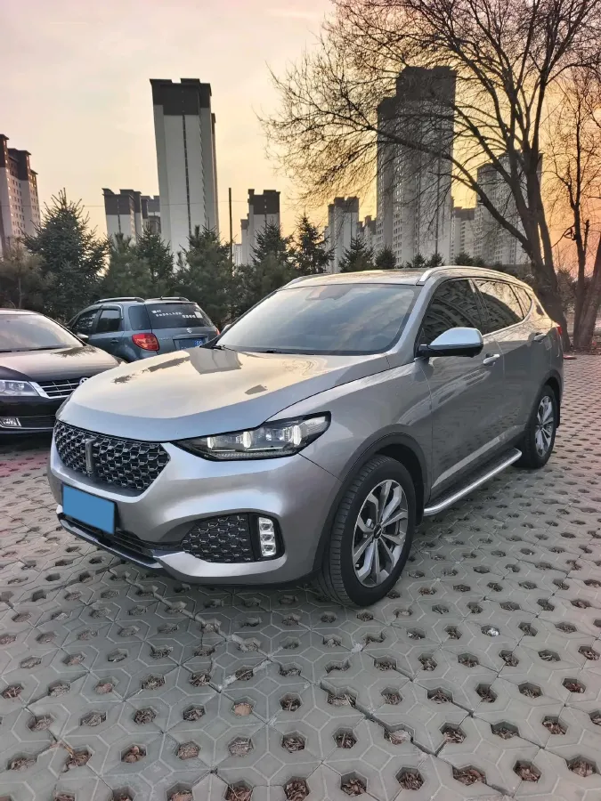2021 WEY VV6 2.0T 227HP L4 7DCT,autocango,china used car exporter,china ev exporter,chinese used car exporter,chinese used ev exporter