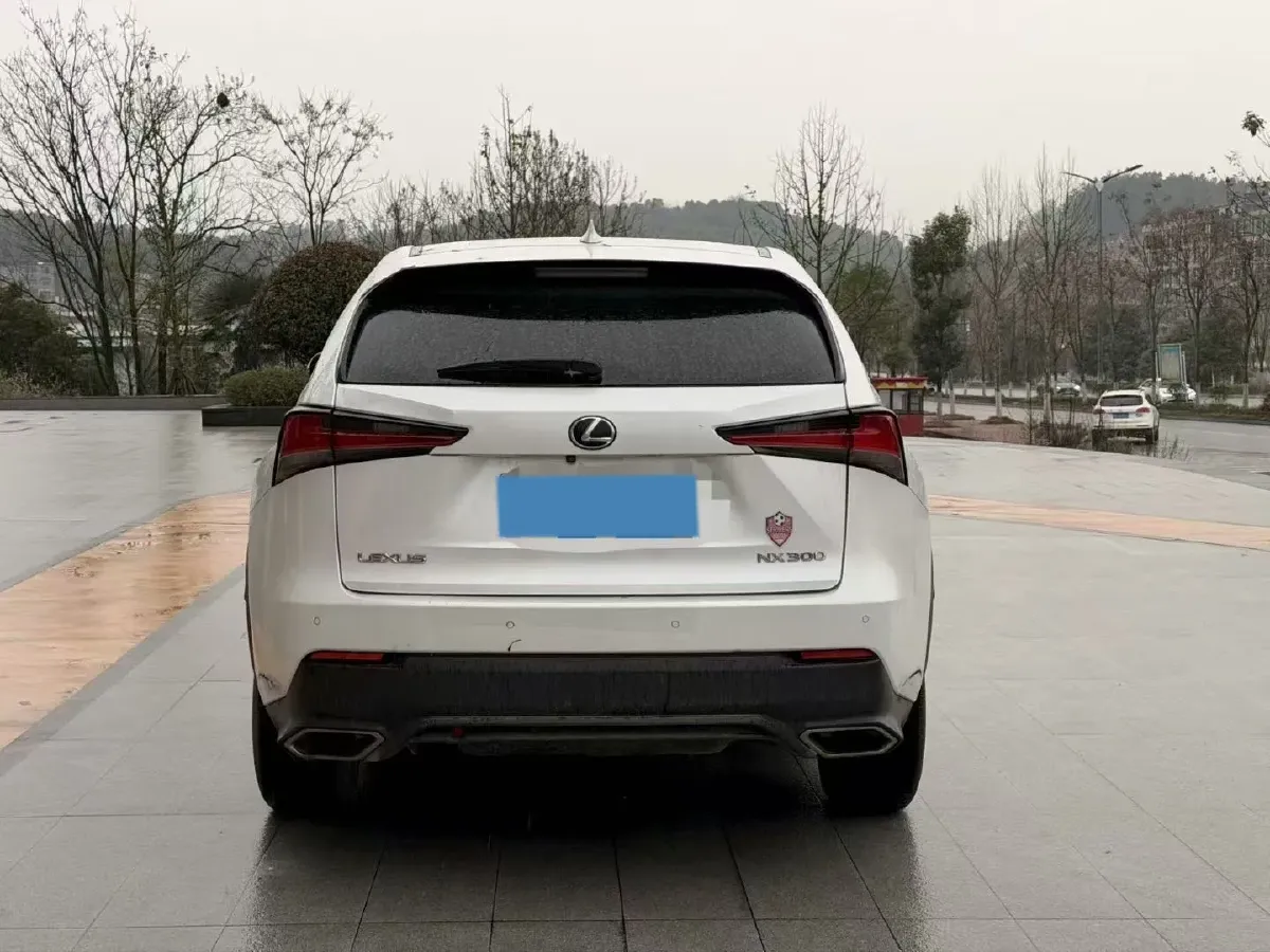 2018 Lexus NX 2.0T 238HP L4 6AT,autocango,china used car exporter,china ev exporter,chinese used car exporter,chinese used ev exporter