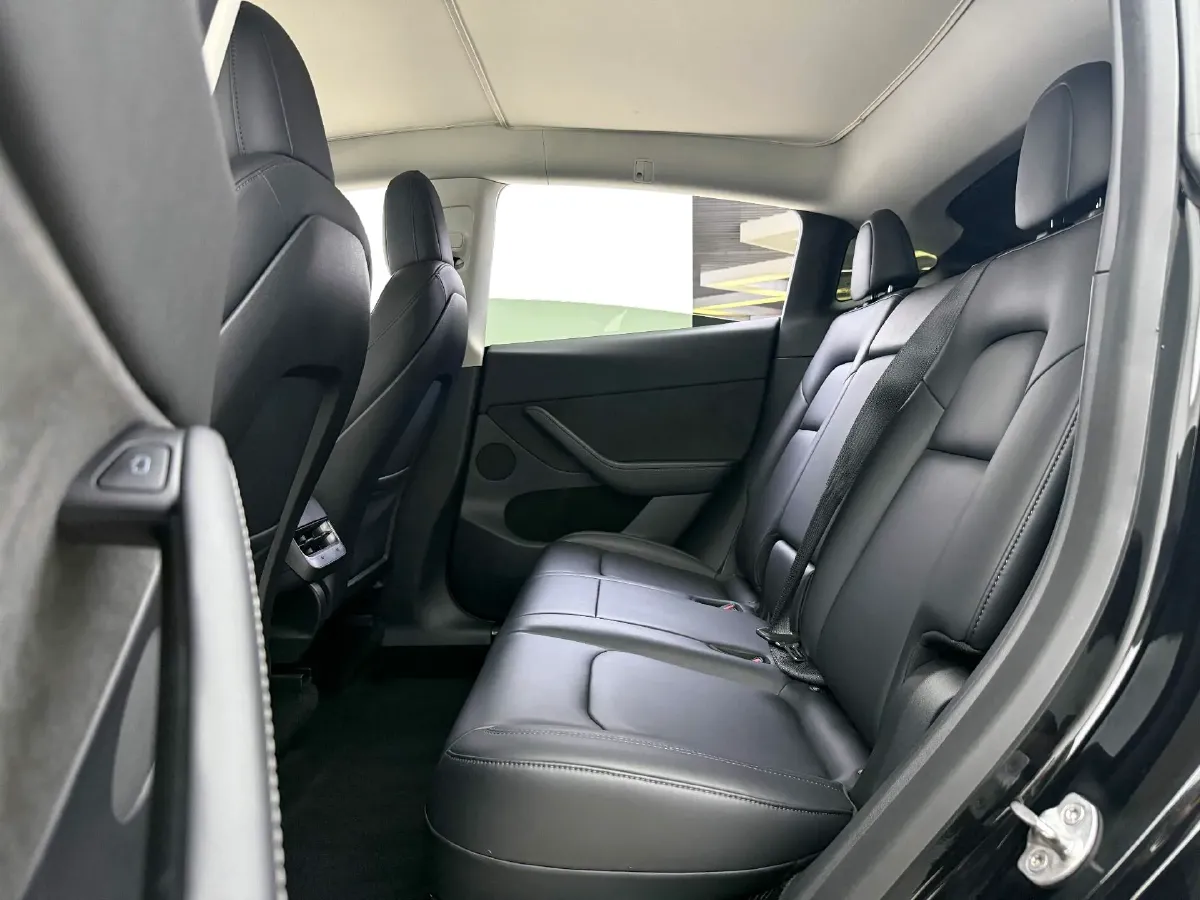 2021 Tesla Model 3 BEV 76.8KWH,autocango,china used car exporter,china ev exporter,chinese used car exporter,chinese used ev exporter