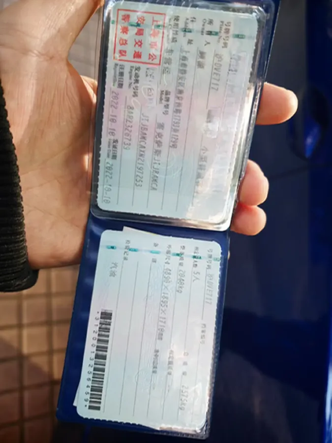 2021 Lexus RX 2.0T 231HP L4 6AT,autocango,china used car exporter,china ev exporter,chinese used car exporter,chinese used ev exporter