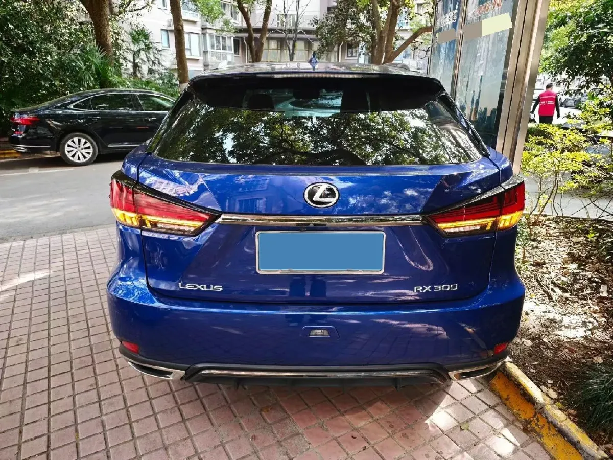 2021 Lexus RX 2.0T 231HP L4 6AT,autocango,china used car exporter,china ev exporter,chinese used car exporter,chinese used ev exporter