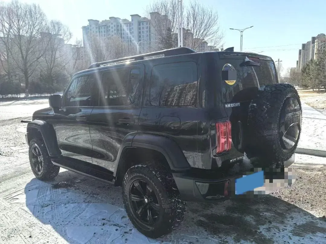 2024 Tank 300 2.0T 227HP L4 8AT,autocango,china used car exporter,china ev exporter,chinese used car exporter,chinese used ev exporter