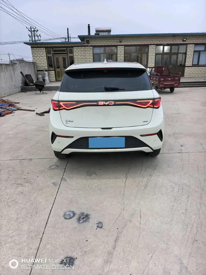 2025 BYD Dolphin BEV 45.12KWH,autocango,china used car exporter,china ev exporter,chinese used car exporter,chinese used ev exporter